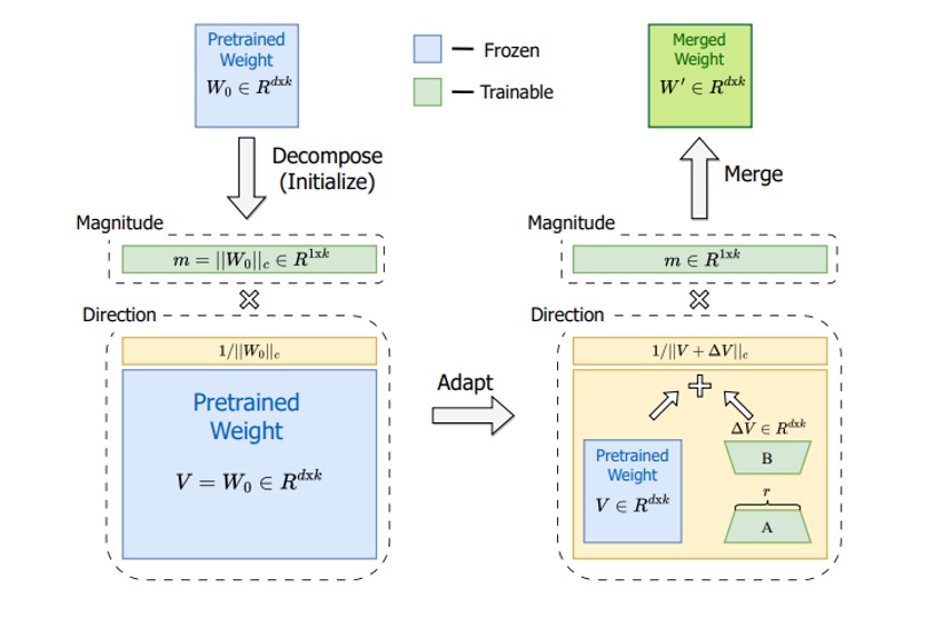 DoRA Architecture